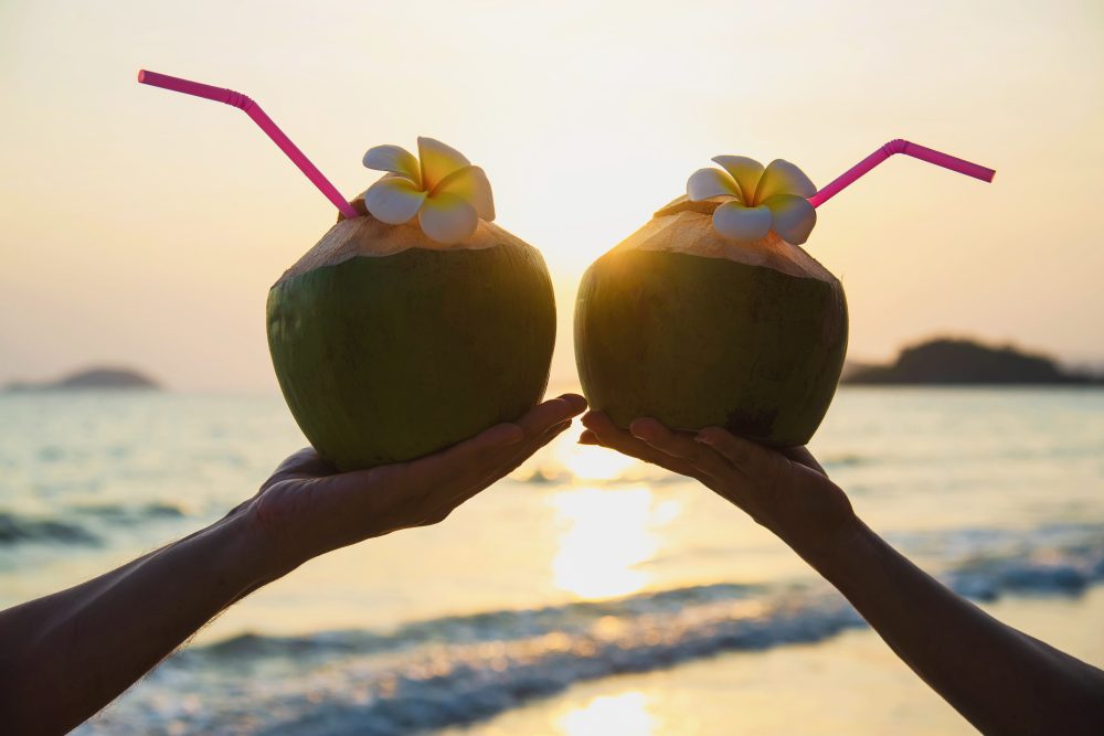 Two fresh coconuts raised together beside the ocean Two fresh coconuts raised together beside the ocean